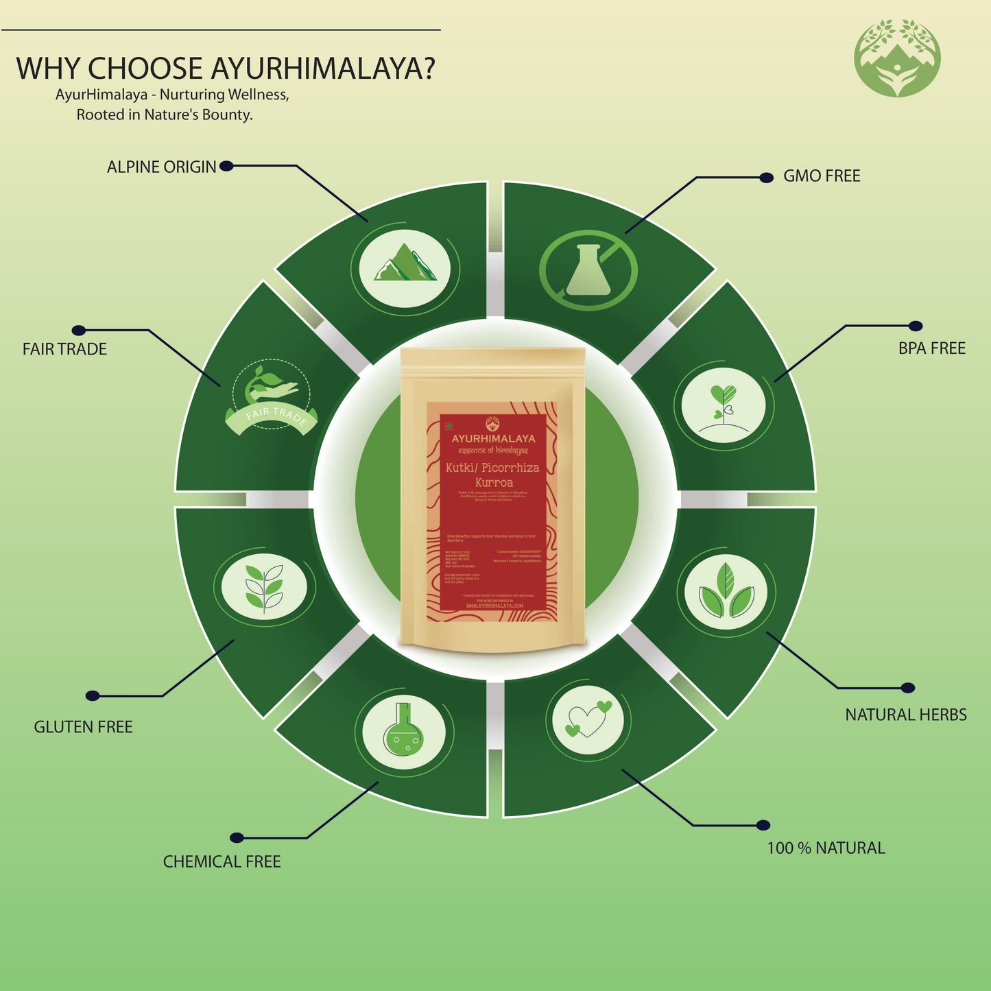 AyurHimalaya Kutki (Picrorhiza kurroa) Liver Miracle: Elevate Your Liver Wellness Naturally